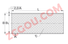 INA PAS20180-P20, άǻ