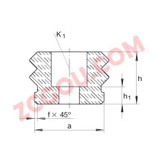 INA���� GFS12, ΢�ͻ�������