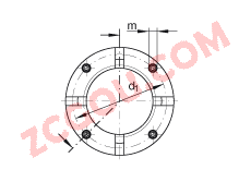 INA����������ĸ AM17, �н�����