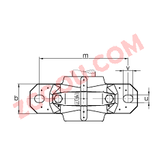 FAGֱʽ SNV080-L + 1307-K-TVH-C3 + H307 + TCV607,  DIN 736/DIN737 ׼Ҫߴ磬ʷ֣׶׺ͽ׵ԵУTaconite ܷ⣬֬