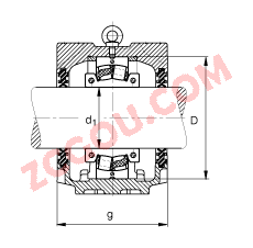 FAGֱʽ SNV230-L + 222SM115-TVPA + DH526,  DIN 736/DIN737 ׼Ҫߴ磬ʷֵĵĹУ˫ܷ⣬֬