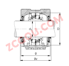 FAGֱ��ʽ����� SNV120-L + 222S.203 + DHV513X203, ���� DIN 736/DIN737 ��׼����Ҫ�ߴ磬�ʷֵĵ��Ĺ�����У�V ��Ȧ�ܷ⣬֬������