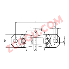 FAGֱʽ SNV170-L + 2316-M + DHV316,  DIN 738/DIN739 ׼Ҫߴ磬ʷ֣Բ׺ͽ׵ԵУVȦܷ⣬֬