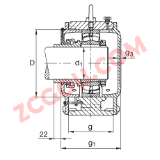 FAGֱ��ʽ����� LOE616-N-AL-L, ���ڴ�׶�׺ͽ����׵��ʷֵ��Ĺ�����У��Թ��ܷ⣬����