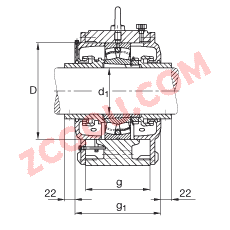 FAGֱ��ʽ����� LOE526-N-BF-L, ���ڴ�׶�׺ͽ����׵��ʷֵ��Ĺ�����У��Թ��ܷ⣬����