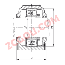 FAGֱ��ʽ����� SD556-N-FZ-BF-L + 22256-B-K-MB, �ʷ֣����ڴ�׶�׺ͽ����׵ĵ��Ĺ�����У�ëձ�ܷ⣬֬��