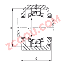 FAGֱ��ʽ����� SD540-N-FZ-BF-L + 222SM180-MA, �ʷֵĵ��Ĺ�����У�ëձ�ܷ⣬֬��
