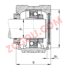 FAGֱʽ SNV085-L + 1209-K-TVH-C3 + H209X107 + TSV509X107,  DIN 736/DIN737 ׼Ҫߴ磬ʷ֣׶׺ͽ׵ԵУԹܷ⣬֬