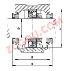 FAGֱʽ SNV085-L + 1209-K-TVH-C3 + H209X107 + TSV509X107,  DIN 736/DIN737 ׼Ҫߴ磬ʷ֣׶׺ͽ׵ԵУԹܷ⣬֬