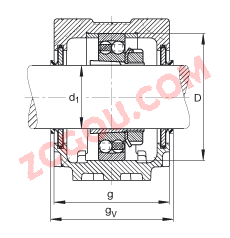 FAGֱʽ SNV140-L + 1313-K-TVH-C3 + H313 + DHV613,  DIN 736/DIN737 ׼Ҫߴ磬ʷ֣׶׺ͽ׵ԵУVȦܷ⣬֬