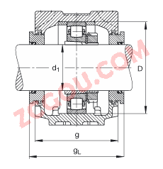 FAGֱʽ SNV085-L + 20209-K-TVP-C3 + H209X108 + TSV509X108,  DIN 736/DIN737 ׼Ҫߴ磬ʷ֣׶׺ͽ׵ĵĹУԹܷ⣬֬