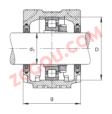 FAGֱʽ SNV120-L + 20311-K-TVP-C3 + H311 + FSV611,  DIN 736/DIN737 ׼Ҫߴ磬ʷ֣׶׺ͽ׵ĵĹУëձܷ⣬֬