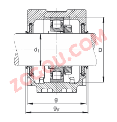 FAGֱʽ SNV160-L + 20218-K-MB-C3 + H218X304 + DHV518X304,  DIN 736/DIN737 ׼Ҫߴ磬ʷ֣׶׺ͽ׵ĹιУV Ȧܷ⣬֬