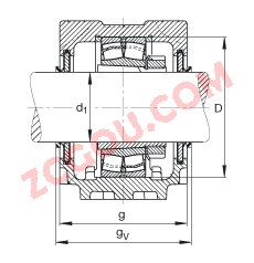 FAGֱʽ SNV100-L + 21309-E1-K + H309X107 + DHV609X107,  DIN 736/DIN737 ׼Ҫߴ磬ʷ֣׶׺ͽ׵ĵĹУV Ȧܷ⣬֬