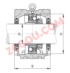 FAGֱʽ SNV215-L + 2320-K-M-C3 + H2320X310 + FSV620X310,  DIN 736/DIN737 ׼Ҫߴ磬ʷ֣׶׺ͽ׵ԵУëձܷ⣬֬