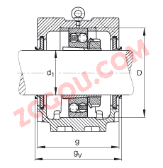 FAGֱʽ SNV215-L + 1320-K-M-C3 + H320X310 + DHV620X310,  DIN 736/DIN737 ׼Ҫߴ磬ʷ֣׶׺ͽ׵ԵУVȦܷ⣬֬