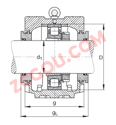 FAGֱ��ʽ����� SNV215-L + 20320-K-MB-C3 + H320 + TSV620, ���� DIN 736/DIN737 ��׼����Ҫ�ߴ磬�ʷ֣���׶�׺ͽ����׵ĵ��Ĺ�����У��Թ��ܷ⣬֬������