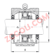 FAGֱʽ SNV215-L + 20224-K-MB-C3 + H3024X403 + FSV524X403,  DIN 736/DIN737 ׼Ҫߴ磬ʷ֣׶׺ͽ׵ĵĹУëձܷ⣬֬