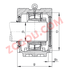 FAGֱʽ SNV215-L + 21320-E1-K-TVPB + H320X307 + DHV620X307,  DIN 736/DIN737 ׼Ҫߴ磬ʷ֣׶׺ͽ׵ĵĹУV Ȧܷ⣬֬