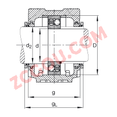 FAGֱʽ SNV080-L + 1307-TVH + TSV307,  DIN 738/DIN739 ׼Ҫߴ磬ʷ֣Բ׺ͽ׵ԵУԹܷ⣬֬