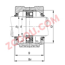 FAGֱʽ SNV085-L + 2209-TVH + DHV209,  DIN 738/DIN739 ׼Ҫߴ磬ʷ֣Բ׺ͽ׵ԵУVȦܷ⣬֬