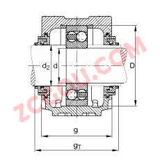 FAGֱ��ʽ����� SNV170-L + 1316-M + TCV316, ���� DIN 738/DIN739 ��׼����Ҫ�ߴ磬�ʷ֣���Բ���׺ͽ����׵��Ե�������У�Taconite �ܷ⣬֬������