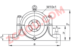 FAGֱ��ʽ����� S3034-H-N-FZ-AB-L + 23034-E1-K-TVPB, �ʷ֣����ڴ�׶�׺ͽ����׵ĵ��Ĺ�����У�ëձ�ܷ⣬֬��