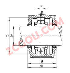 FAGֱʽ SD3160-H-TS-BL-L + 231SM280-MA, ʷֵĵĹУԹܷ⣬֬