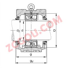 FAGֱ��ʽ����� SNV340-L + 22332-MB + DHV332, ���� DIN 738/DIN739 ��׼����Ҫ�ߴ磬�ʷ֣���Բ���׺ͽ����׵ĵ��Ĺ�����У�V ��Ȧ�ܷ⣬֬������